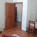 City Center Apartment In Shkoder